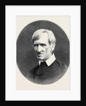 Cardinal Newman 1879 by Anonymous