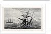 Wreck of the Clyde Transport at the Cape of Good Hope 1879 by Anonymous