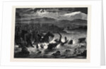 The Afghan War: The Disaster to the 10th Hussars in the Cabul River 1879 by Anonymous