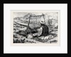 Afghanistan: A Weaver at Jellalabad 1879 by Anonymous