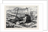 Afghanistan: A Weaver at Jellalabad 1879 by Anonymous