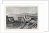 The Duke and Duchess of Connaught in Sicily: Ancient Greek Theatre at Taormina 1879 by Anonymous