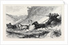 The Zulu War: General Marshall and Staff Going to the Front: Post Cart Travelling in Natal 1879 by Anonymous