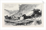 The Zulu War: General Marshall and Staff Going to the Front: Post Cart Travelling in Natal 1879 by Anonymous