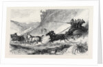 The Zulu War: General Marshall and Staff Going to the Front: Post Cart Travelling in Natal 1879 by Anonymous