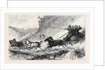 The Zulu War: General Marshall and Staff Going to the Front: Post Cart Travelling in Natal 1879 by Anonymous