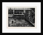 The Six-Days' Swimming Match in Lambeth Baths 1879 by Anonymous