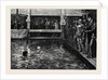 The Six-Days' Swimming Match in Lambeth Baths 1879 by Anonymous
