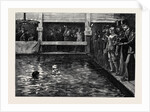 The Six-Days' Swimming Match in Lambeth Baths 1879 by Anonymous