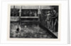 The Six-Days' Swimming Match in Lambeth Baths 1879 by Anonymous