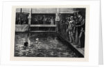 The Six-Days' Swimming Match in Lambeth Baths 1879 by Anonymous