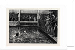 The Six-Days' Swimming Match in Lambeth Baths 1879 by Anonymous