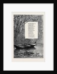 The Kingfisher's Haunt by Anonymous