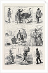 Sketches in South Africa by Anonymous