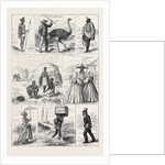 Sketches in South Africa by Anonymous
