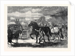 Suffolk Cart Horses at the Exhibition of the Royal Agricultural Society at Bury St. Edmunds 1867 by Anonymous