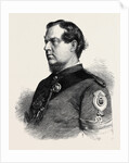 Sergeant Lane 1st Gloucester Rifle Volunteers Winner of the Queen's Prize and Gold Medal at Wimbledon UK 1867 by Anonymous