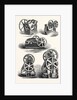 Machine Tools by Anonymous