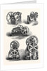 Machine Tools by Anonymous