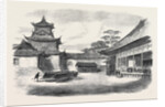 A Visit to the Tycoon of Japan: A Detachment of the 9th Regiment the Infantry Guard of the British Legation Reviewed Before the Tycoon 1867 by Anonymous