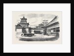 A Visit to the Tycoon of Japan: A Detachment of the 9th Regiment the Infantry Guard of the British Legation Reviewed Before the Tycoon 1867 by Anonymous