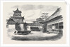 A Visit to the Tycoon of Japan: A Detachment of the 9th Regiment the Infantry Guard of the British Legation Reviewed Before the Tycoon 1867 by Anonymous