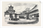 A Visit to the Tycoon of Japan: A Detachment of the 9th Regiment the Infantry Guard of the British Legation Reviewed Before the Tycoon 1867 by Anonymous