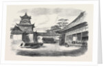 A Visit to the Tycoon of Japan: A Detachment of the 9th Regiment the Infantry Guard of the British Legation Reviewed Before the Tycoon 1867 by Anonymous