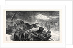 A Stampede from a Wolf, in the Exhibition of the Royal Academy 1867 by Anonymous