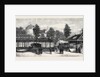 The Paris International Exhibition: International Exhibition of the Societies for Affording Relief to Wounded Soldiers France 1867 by Anonymous