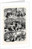 The Paris International Exhibition: The Spanish Swedish Austrian Turkish and Chinese Cafés in the Park France 1867 by Anonymous