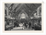 The Blackmore Museum Salisbury UK 1867 by Anonymous