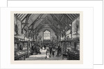 The Blackmore Museum Salisbury UK 1867 by Anonymous