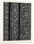 The Paris International Exhibition: Point Colbert a Reproduction of Venice Point Lace France 1867 by Anonymous