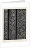The Paris International Exhibition: Point Colbert a Reproduction of Venice Point Lace France 1867 by Anonymous