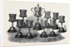 The Queen's Prize of the National Artillery Association Shoeburyenss 1867 by Anonymous