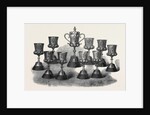 The Queen's Prize of the National Artillery Association Shoeburyenss 1867 by Anonymous
