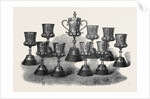The Queen's Prize of the National Artillery Association Shoeburyenss 1867 by Anonymous