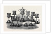 The Queen's Prize of the National Artillery Association Shoeburyenss 1867 by Anonymous