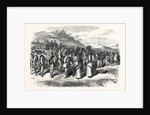 The Garibaldians at Bagnorea in the Roman States 1867 by Anonymous