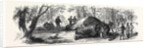 Measuring the Elephant Killed by the Duke of Edinburgh 1867 by Anonymous