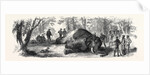 Measuring the Elephant Killed by the Duke of Edinburgh 1867 by Anonymous