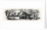 Measuring the Elephant Killed by the Duke of Edinburgh 1867 by Anonymous