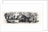 Measuring the Elephant Killed by the Duke of Edinburgh 1867 by Anonymous
