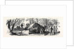 Measuring the Elephant Killed by the Duke of Edinburgh 1867 by Anonymous