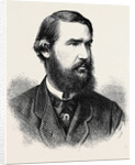 Earl Brownlow 1867 by Anonymous