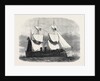 The Prussian Ironclad Frigate Kron Prinz 1867 by Anonymous