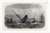 Wreck of the Greek War-Steamer Bouboulina Destroyed by Explosion at Liverpool UK 1867 by Anonymous