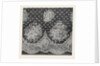 Honiton Lace Flounce, Wigmore Street, London, the International Exhibition 1862, Debenham Son And Freebody by Anonymous