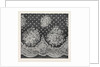 Honiton Lace Flounce, Wigmore Street, London, the International Exhibition 1862, Debenham Son And Freebody by Anonymous
